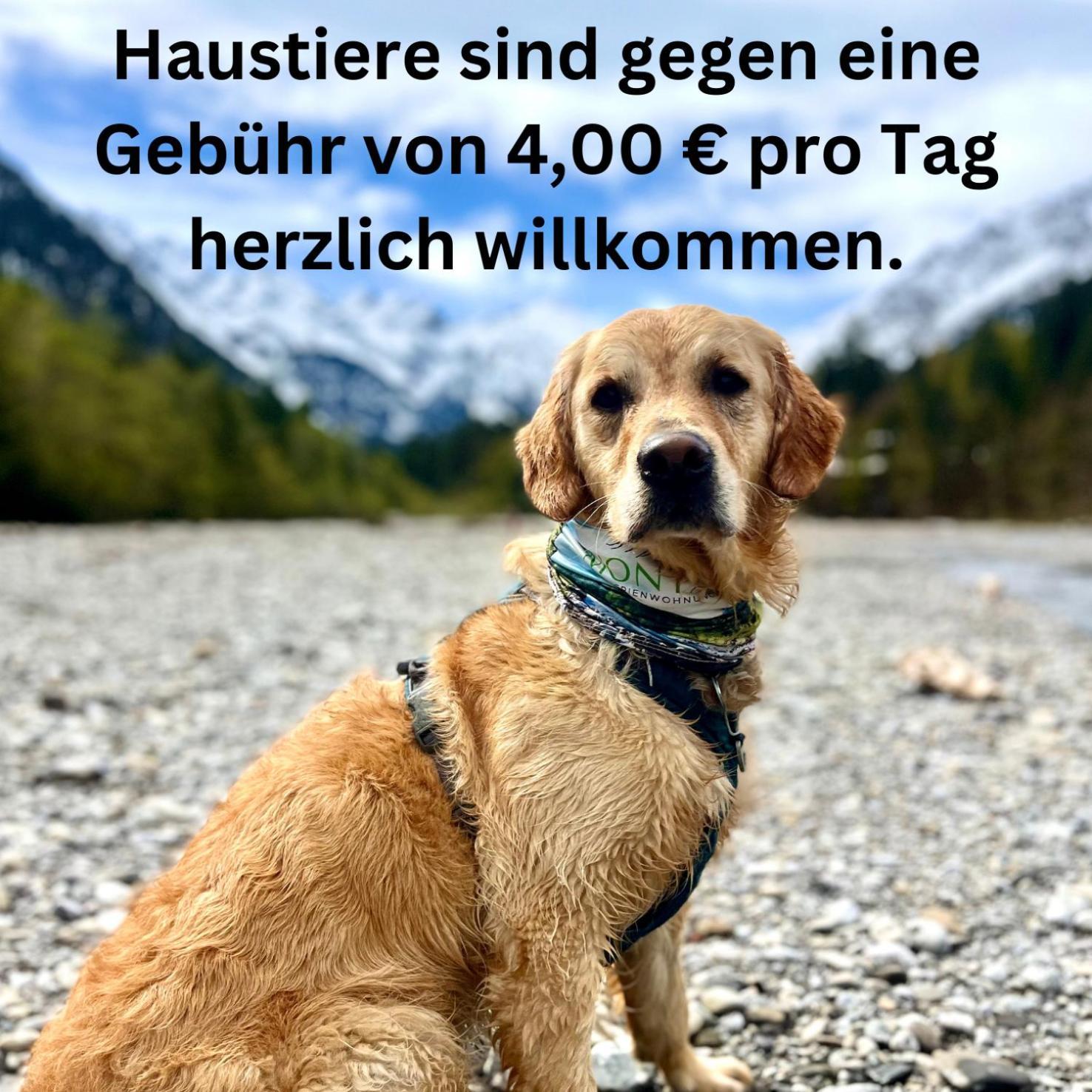 Montana Haus, Fewo A14, A17, B4 Oder C8 Oberstdorf Bagian luar foto